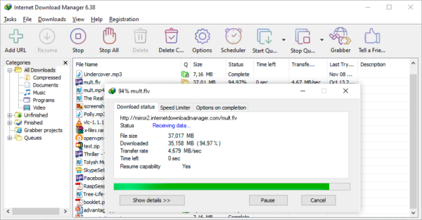 Internet Download Manager - Image 2
